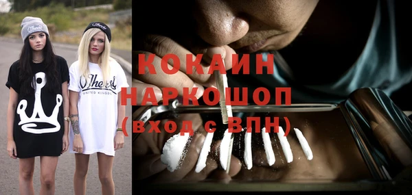 индика Зеленокумск