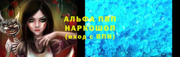 индика Зеленодольск
