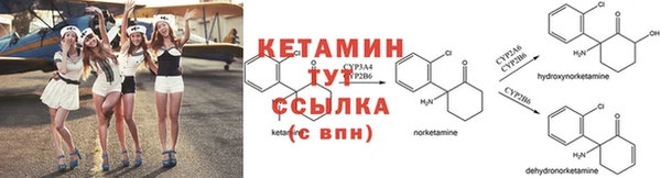 индика Зеленокумск