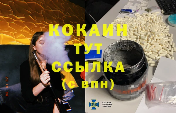 индика Зеленокумск