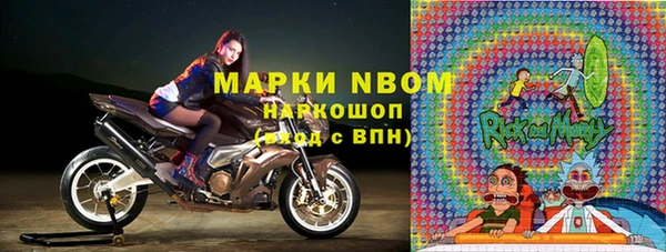 индика Зеленокумск