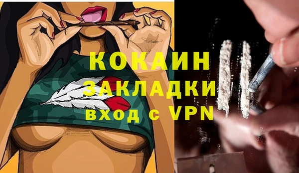 индика Зеленодольск