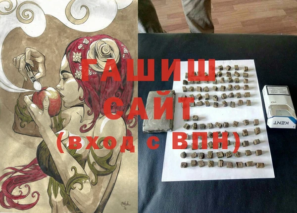 индика Зеленодольск