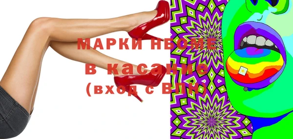 индика Зеленокумск