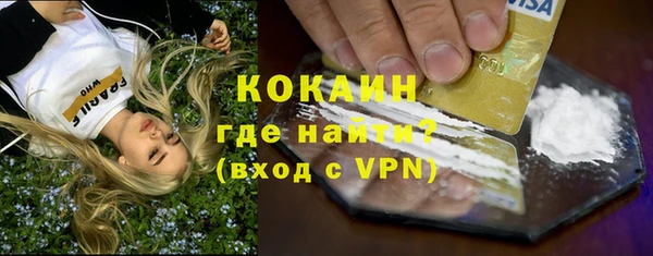 индика Зеленодольск
