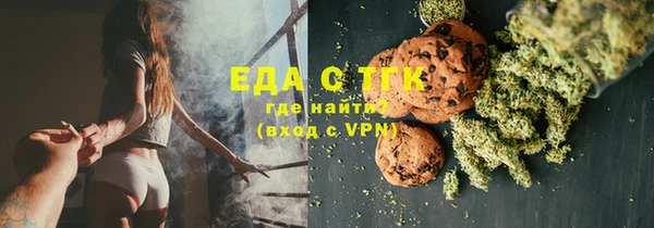 индика Зеленодольск
