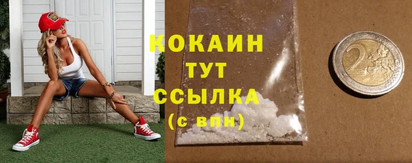 индика Зеленодольск